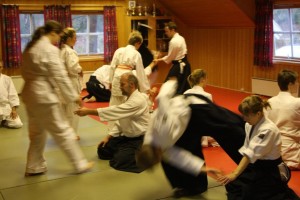Fokus på aikido